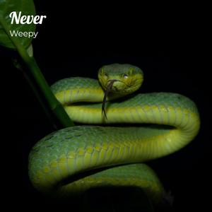 Never