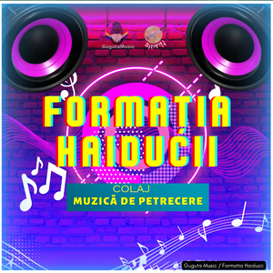 Colaj / Muzică de Petrecere (Formatia Haiducii / Partea 1)