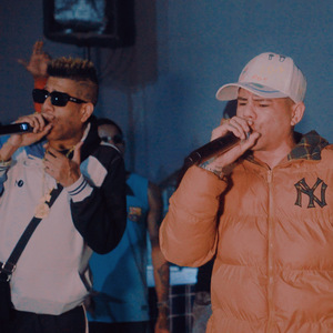 Insensato Destino (Ao Vivo)