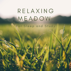 Relaxing Meadow Birds for Yoga