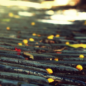 我不期待24号的平安夜