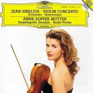 Violin Concerto In D Minor, Op.47:1. Allegro moderato