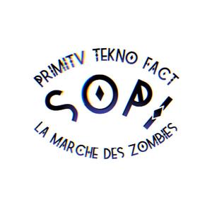 LA MARCHE DES ZOMBIES