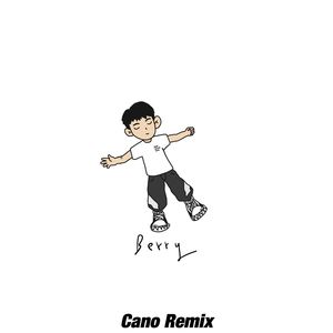 BERRY（Cano remix）