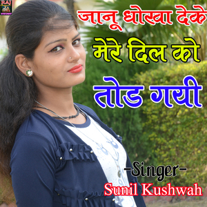 Janu Dhokha Deke Mere Dil Ko Tod Gyi