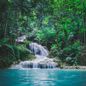 柳风悠曲（图书馆轻音乐）