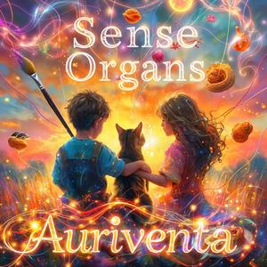 Органи Чуття (Sense Organs)