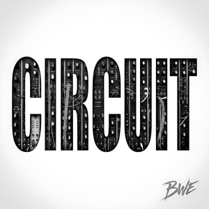 circuit