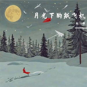 月光下的纸飞机