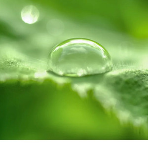 メディウスの涙