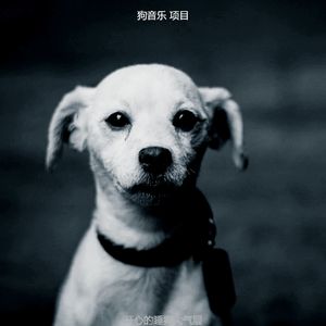 一尘不染孤独的狗印象数