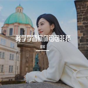 我字字皆你你句句非我