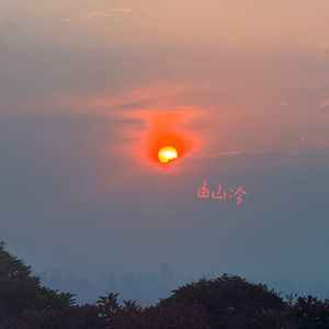 愿以百年挽朝夕