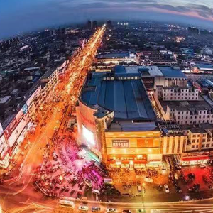 新秋风送爽的林间