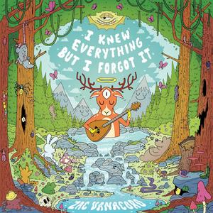 Lady in the Radiator