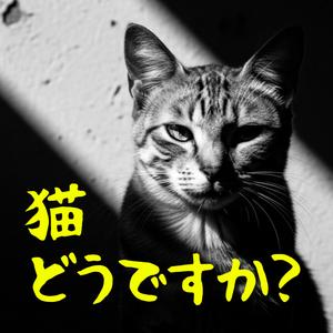 猫どうですか？