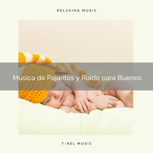 Sonidos Perfectos del Bosque y Ruido de Colores para Buenos