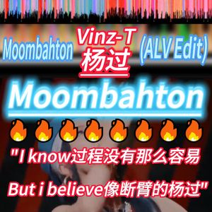 Vinz-T - 杨过[Moombahton](ALV Remix)