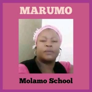 Molamo School (feat. Katlego Mmina Tau)