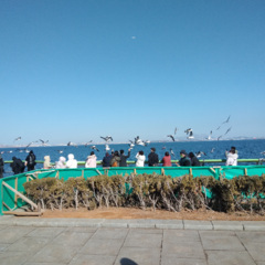 姐姐妹妹站起来 (Demo)