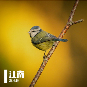 喝完这杯时间的酒