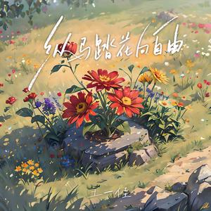 从此纵马踏花向自由