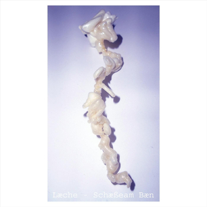 Das ist die Haltung Schwächling