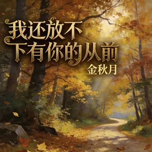 我还放不下有你的从前 (伴奏)