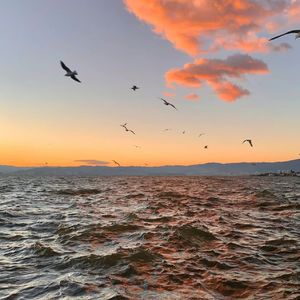 ca4ec22235497855ec79f145807f60c0 伴奏