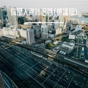 你是人间布洛芬（热播版）