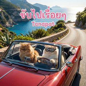 ขับไปเรื่อยๆ