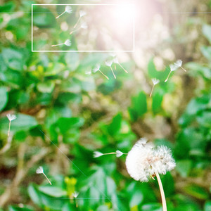 어린이 정경 (자장가)