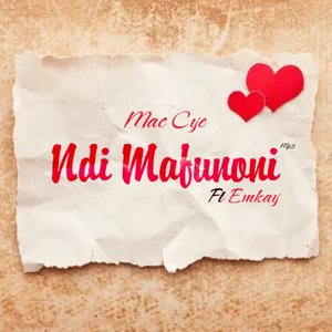 Ndi Mafunoni