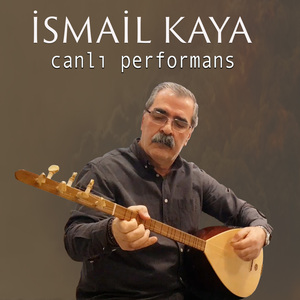 Hasretimsin (Canlı)