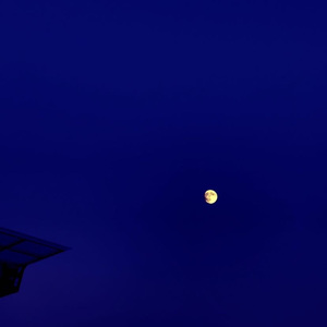 关于我爱你，明天再放弃（翻自 焦迈奇）