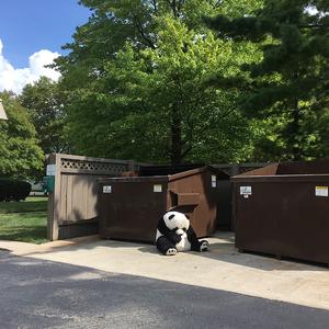 的悲伤(翻自我想念你一如独自**的悲伤(翻自 尧十三)