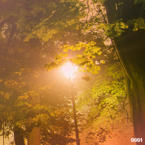 왜 떠나가는 거니