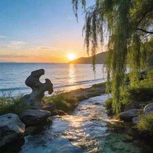 我最爱的人伤我最深