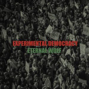 Experimental Democracy