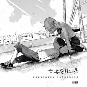 亡妻回忆录 (没你的夜真的太漫长 没你在枕边我不习惯)