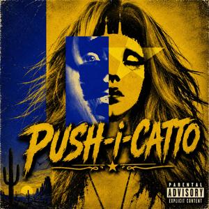 Push-i-catto