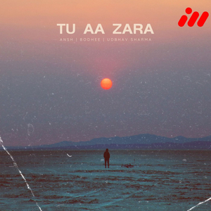 Tu Aa Zara