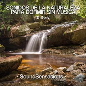 Sonidos De La Naturaleza Para Dormir Sin Música (En Bucle)