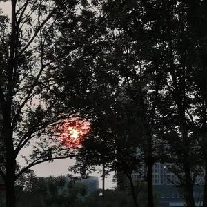 披星戴月的想你 （Cover告五人）