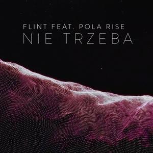 Nie Trzeba (feat. Pola Rise)