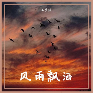 风雨飘洒(DJ阿卓版)