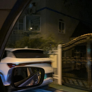 LIUA.-冬日无叶（prod.by Morrow）