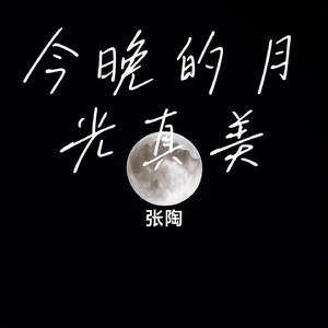 今晚的月光真美