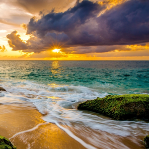 人间自是有情痴