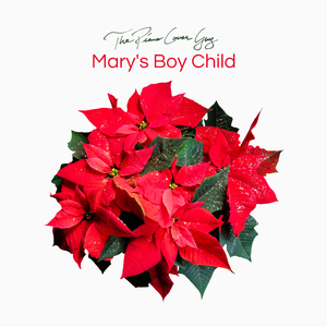 Mary's Boy Child (Piano Version)